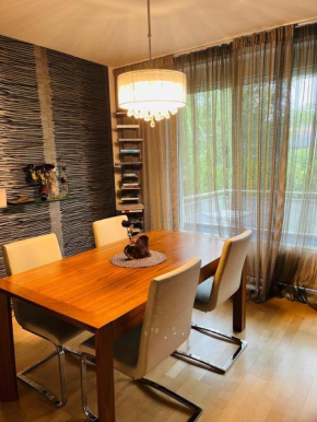 Comfortable suitable apartment